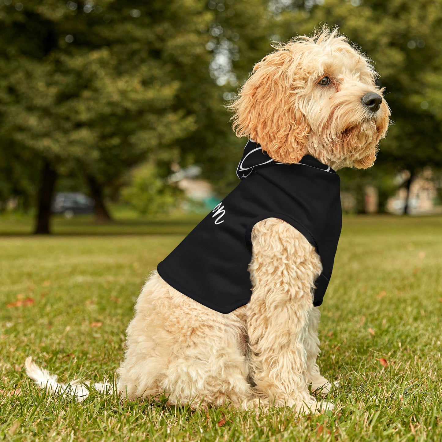 Personalized Pet Hoodie